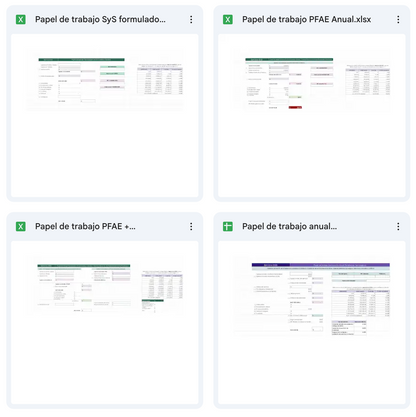 Kit Papeles de trabajo Anuales 2025 – Personas Físicas