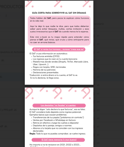Mini e-book: “Lo que nadie te dice del SAT”