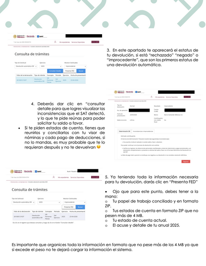 Guía practica DEVOLUCIÓN MANUAL