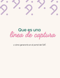 ¿Qué es una línea de captura?